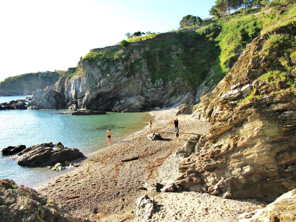 Studio Moderne Argeles Sur Mer.La Plage A Pieds, Espagne A 30Mn Ngoại thất bức ảnh