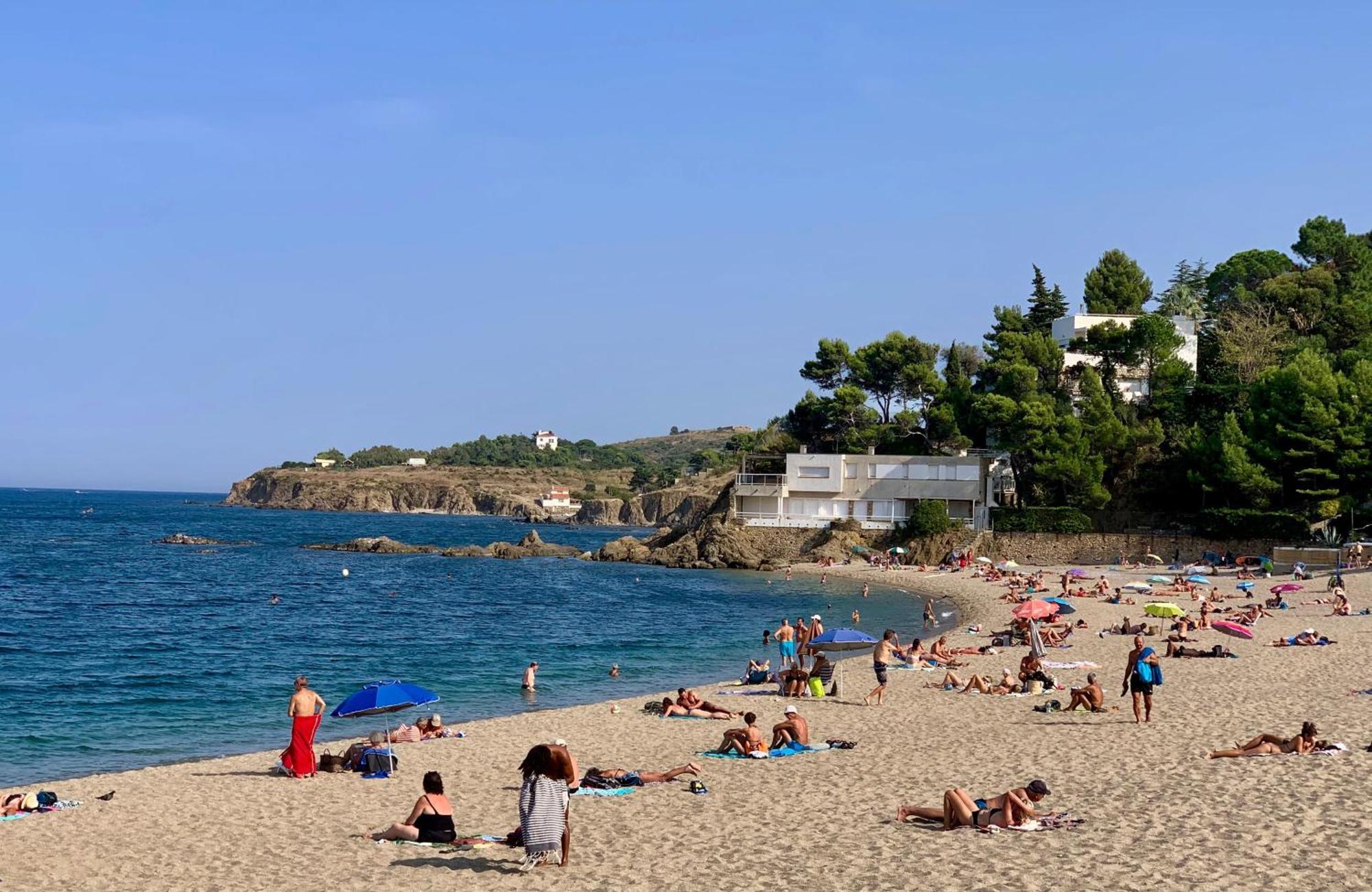 Studio Moderne Argeles Sur Mer.La Plage A Pieds, Espagne A 30Mn Ngoại thất bức ảnh